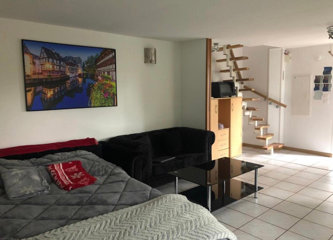 Entre Ville & Campagne Plobsheim Exterior photo